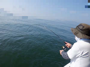 遊漁船 幸友丸 釣果