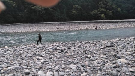 大井川(大井川(非)漁業協同組合) 釣果