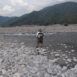 大井川(大井川(非)漁業協同組合) 釣果