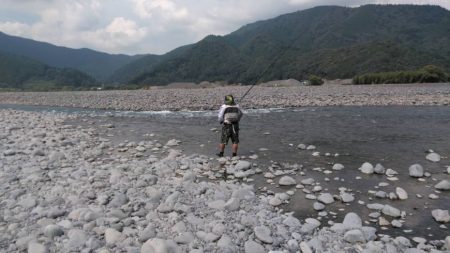大井川（大井川(非)漁業協同組合） 釣果