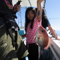 十八宝洋丸 釣果