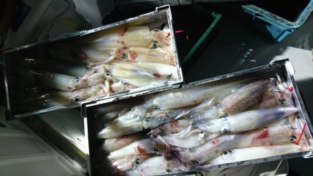 海龍丸（福岡） 釣果