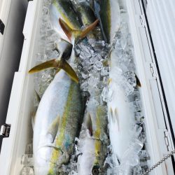 武士(SAMURAI) 釣果