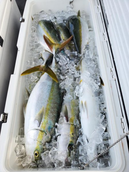 武士(SAMURAI) 釣果