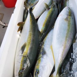 武士(SAMURAI) 釣果