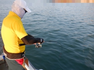 遊漁船 幸友丸 釣果