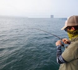 遊漁船 幸友丸 釣果