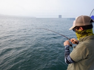 遊漁船 幸友丸 釣果