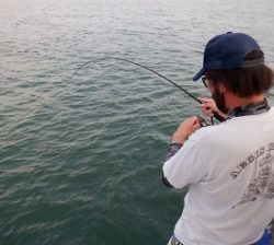 遊漁船 幸友丸 釣果