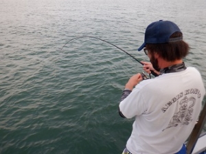 遊漁船 幸友丸 釣果