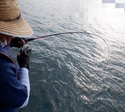 遊漁船 幸友丸 釣果