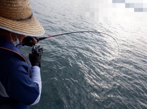 遊漁船 幸友丸 釣果