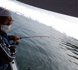 遊漁船 幸友丸 釣果