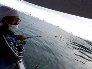 遊漁船 幸友丸 釣果