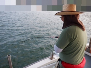 遊漁船 幸友丸 釣果