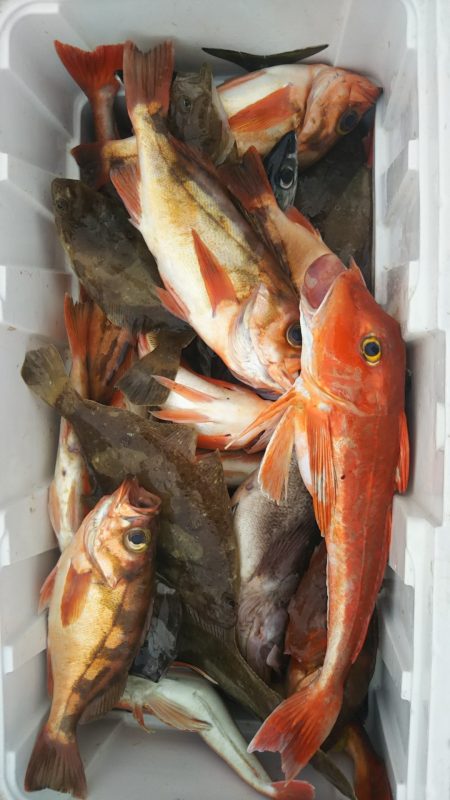 モンロー号 釣果