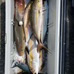 FJガイドサービス 釣果