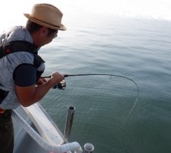 遊漁船 幸友丸 釣果