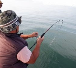 遊漁船 幸友丸 釣果