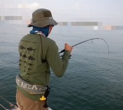 遊漁船 幸友丸 釣果