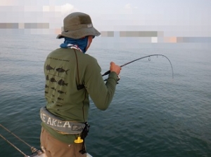 遊漁船 幸友丸 釣果