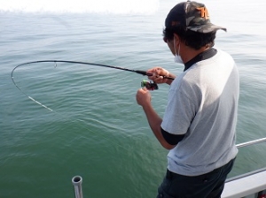遊漁船 幸友丸 釣果