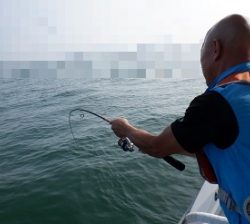 遊漁船 幸友丸 釣果