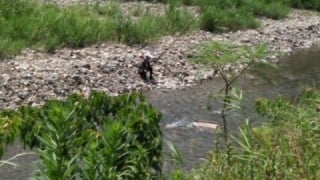 大井川（大井川(非)漁業協同組合） 釣果