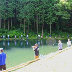 小菅トラウトガーデン 釣果