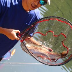 小菅トラウトガーデン 釣果