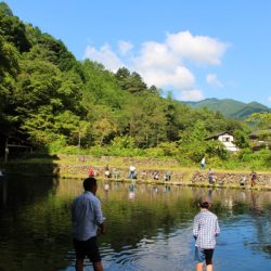 小菅トラウトガーデン 釣果