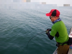 遊漁船 幸友丸 釣果