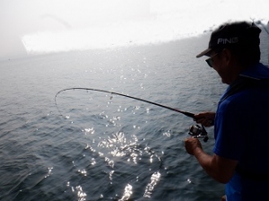 遊漁船 幸友丸 釣果