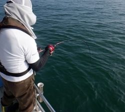 遊漁船 幸友丸 釣果