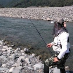 大井川(大井川(非)漁業協同組合) 釣果