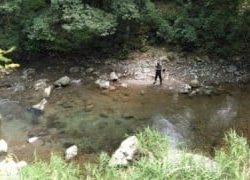 大井川(大井川(非)漁業協同組合) 釣果