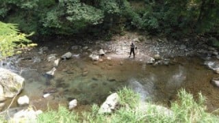 大井川(大井川(非)漁業協同組合) 釣果