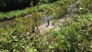 大井川(大井川(非)漁業協同組合) 釣果