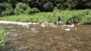 大井川(大井川(非)漁業協同組合) 釣果