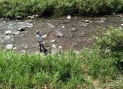 大井川(大井川(非)漁業協同組合) 釣果