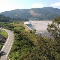 大井川(大井川(非)漁業協同組合) 釣果