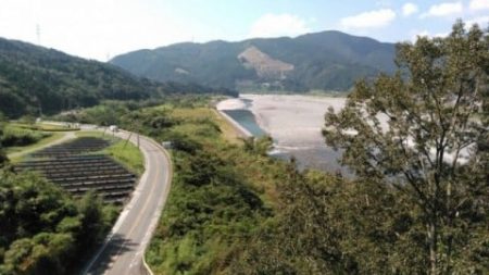 大井川(大井川(非)漁業協同組合) 釣果