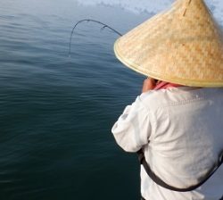 遊漁船 幸友丸 釣果