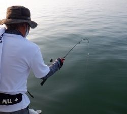 遊漁船 幸友丸 釣果