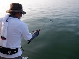 遊漁船 幸友丸 釣果