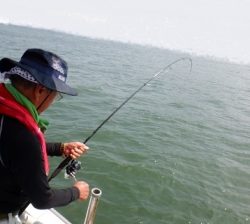 遊漁船 幸友丸 釣果