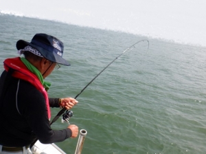 遊漁船 幸友丸 釣果