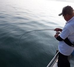 遊漁船 幸友丸 釣果