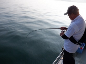 遊漁船 幸友丸 釣果