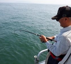 遊漁船 幸友丸 釣果